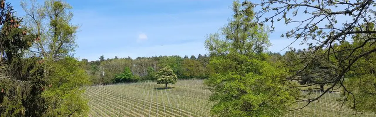 Natural capital update: Emerging farm policy in England makes baseline assessment a big priority: 1651667826 20220430 Henley2 808X455