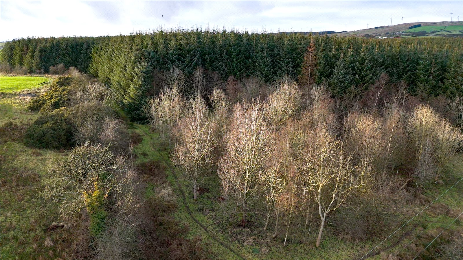 Drone Photograph
