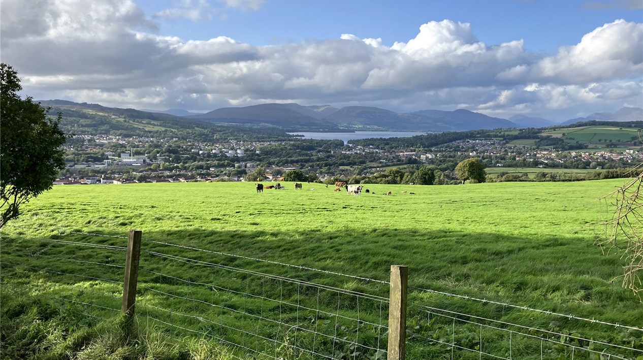 View To Loch Lomond
