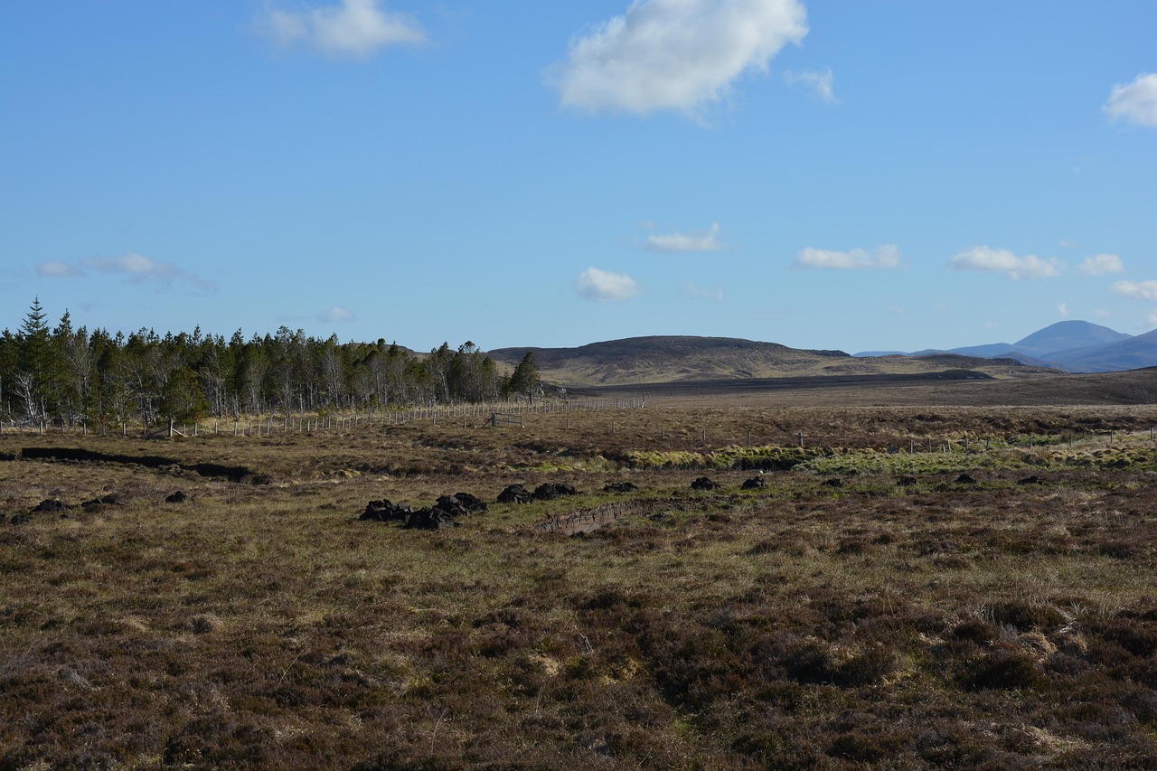 Peat | Natural Capital | Galbraith 
