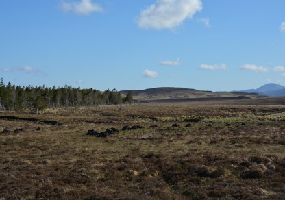 Peat | Natural Capital | Galbraith