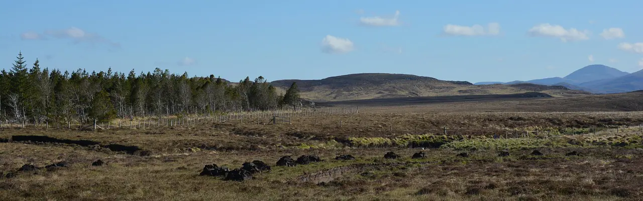 Natural capital update | Markets emerge to target nature recovery : Peat | Natural Capital | Galbraith