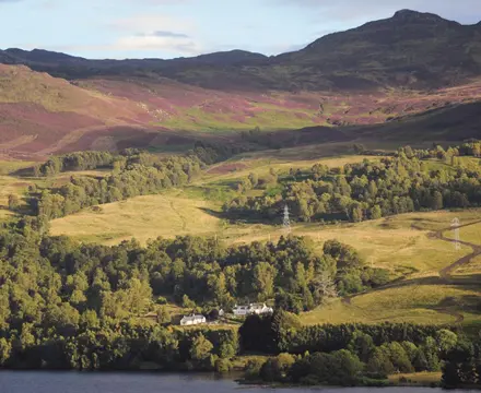 1555514949 Lick Estate (1) 808X455