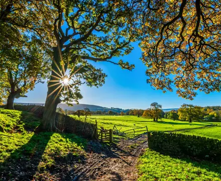 Apply for generous schemes while the going’s good: Natural Capital | Farming | Galbraith