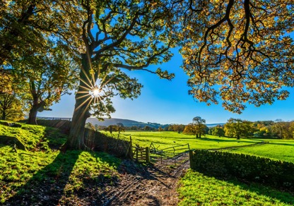 Natural Capital | Farming | Galbraith