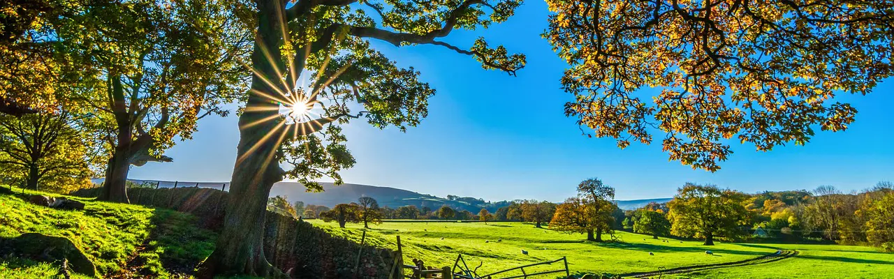 Apply for generous schemes while the going’s good: Natural Capital | Farming | Galbraith