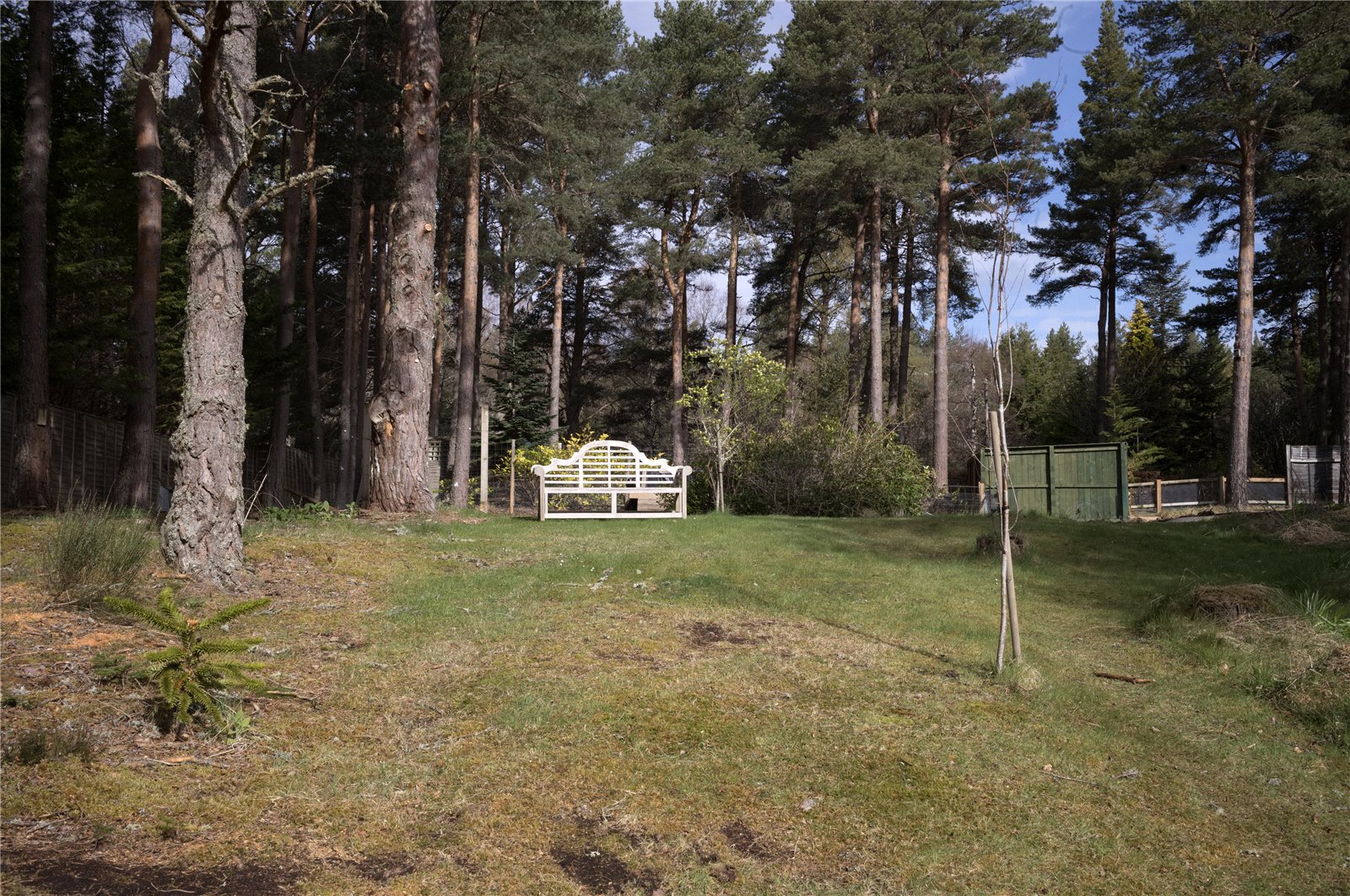 Plot At Sonas