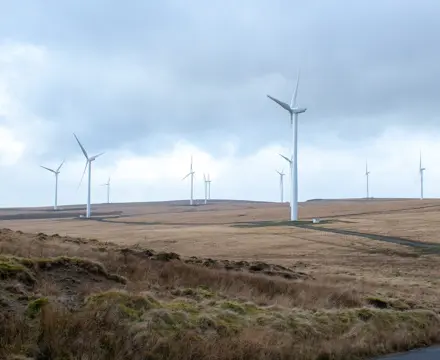 Energy update: Developers reflect on landmark court rejection of Borders wind farm: Borders Wind Farm