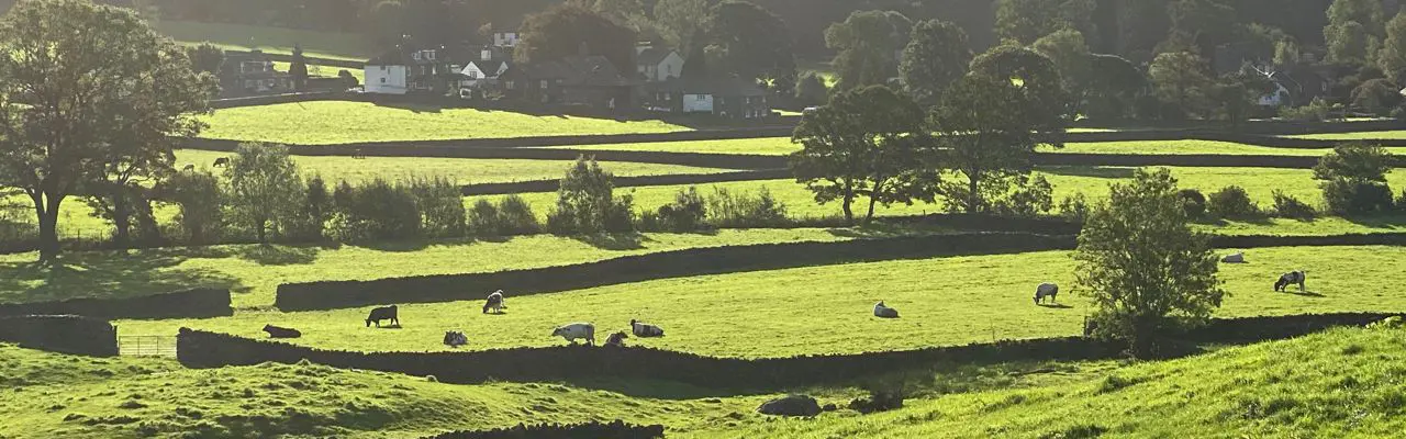 Natural Capital update: Grants must support a business case: TWA