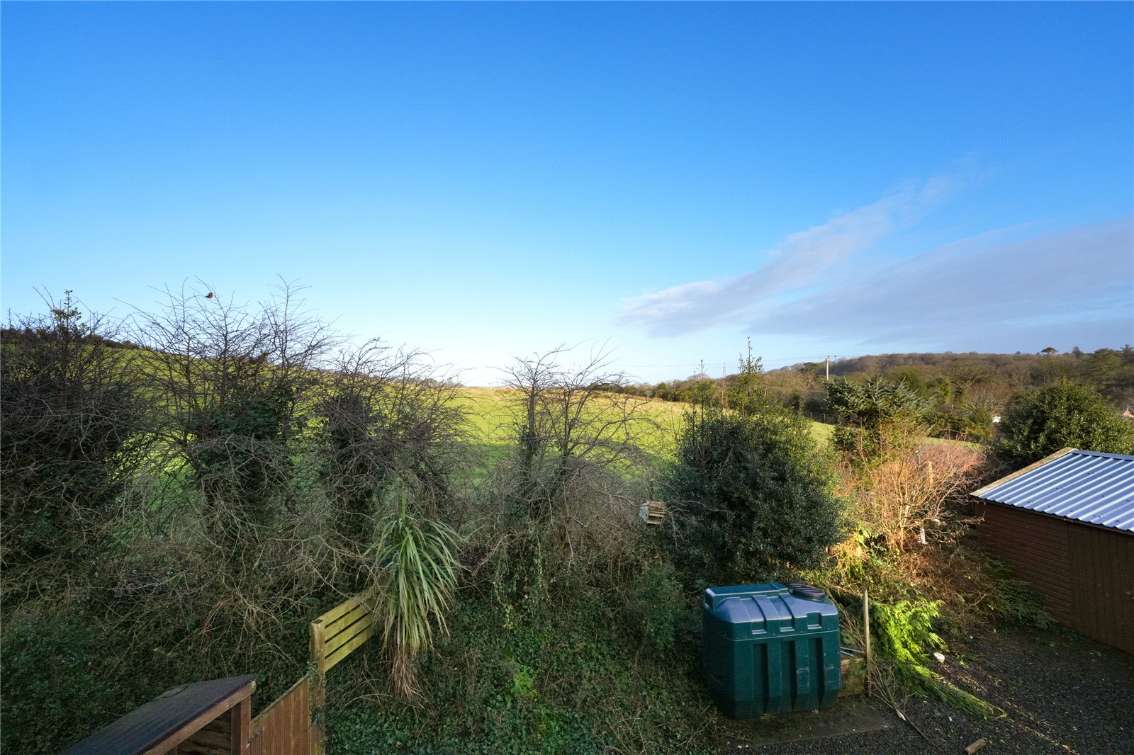 View From Garden
