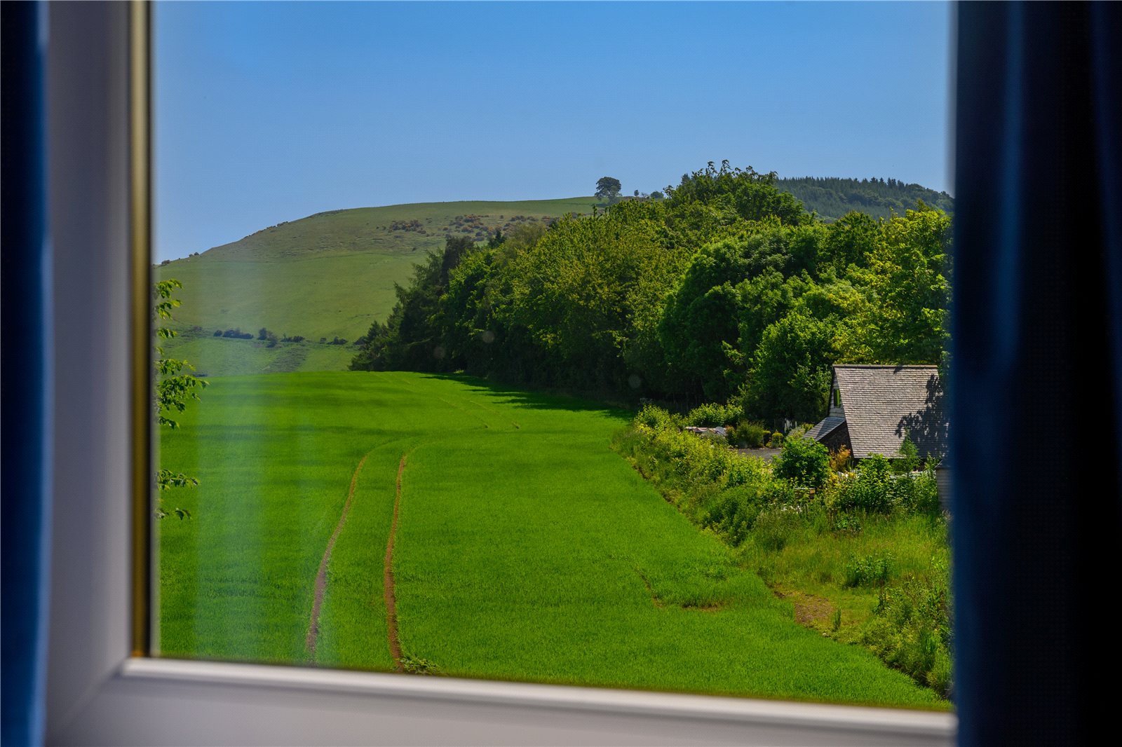 View From Window