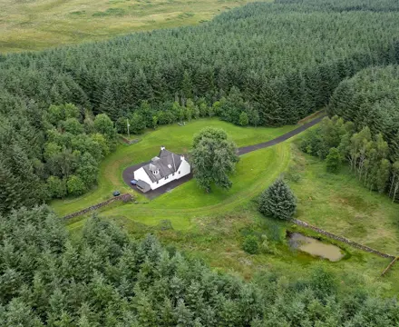 Forest retreat in Dumfries and Galloway: Glenview 2