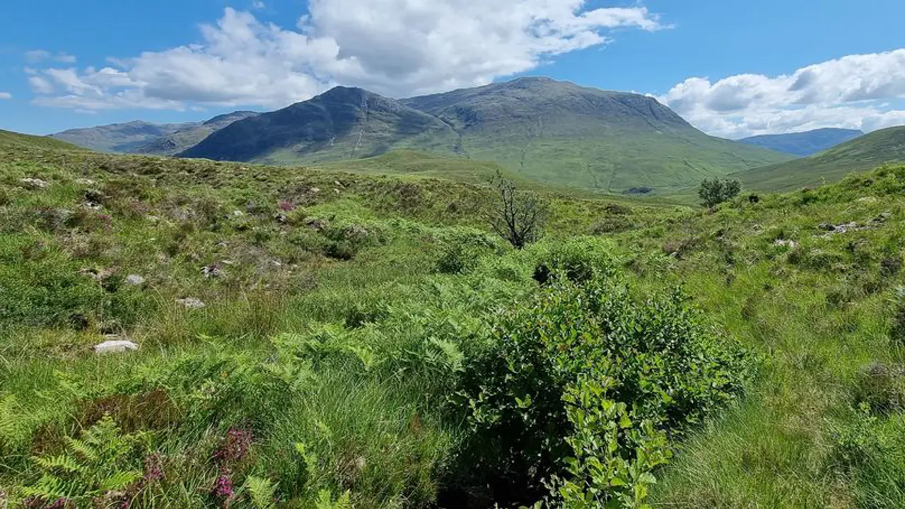 20210701 141609 808X455