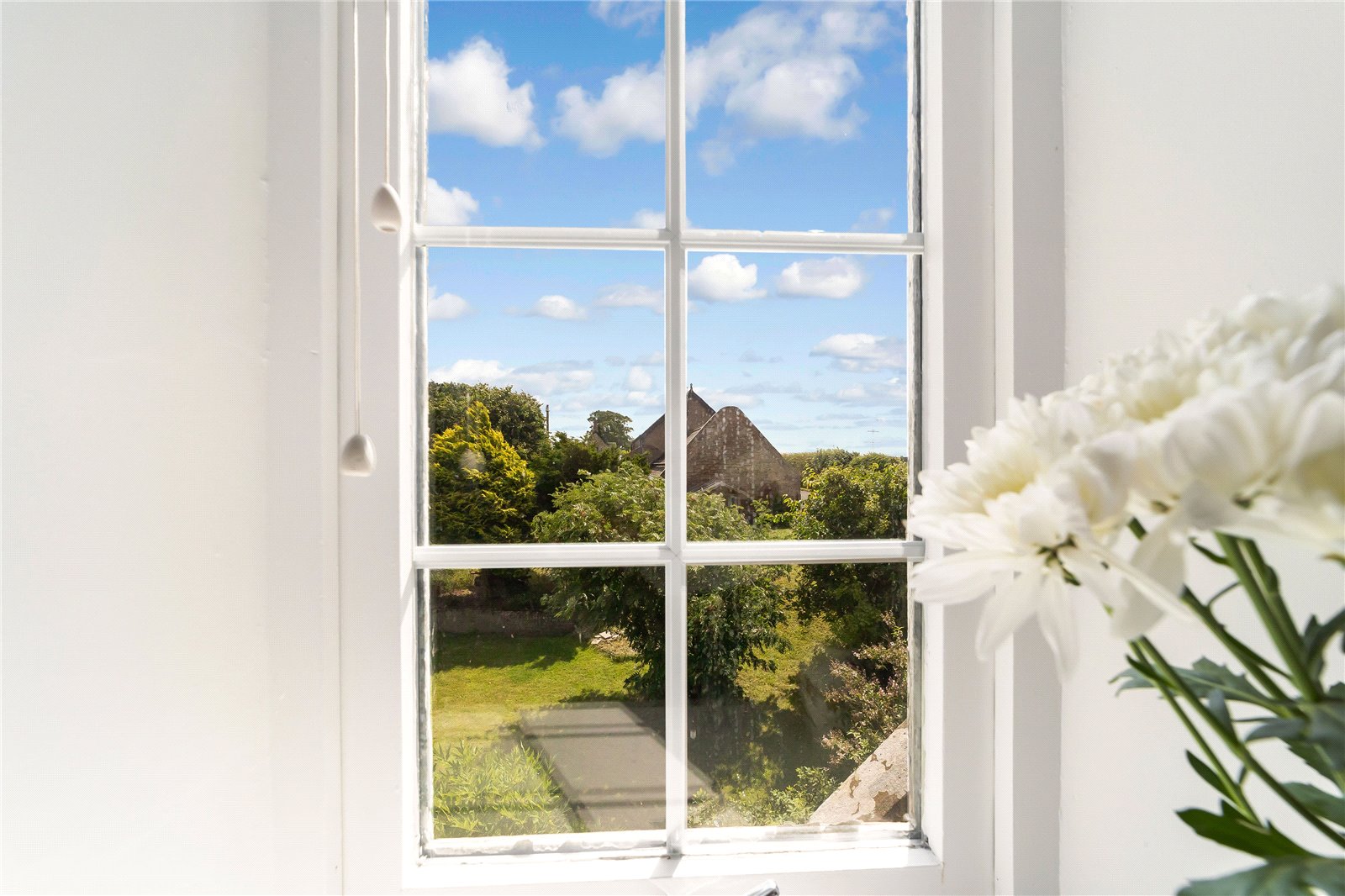 View From Window