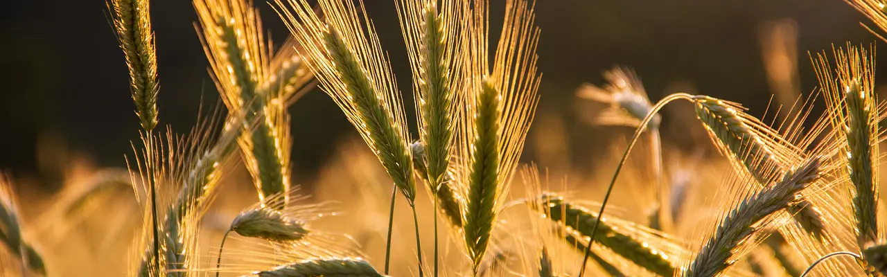 Natural capital update – preparing for land reform: Natural Capital | Land Reform