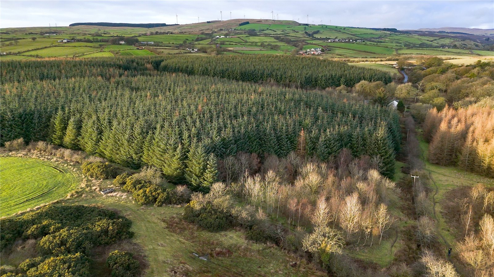 Drone Photograph