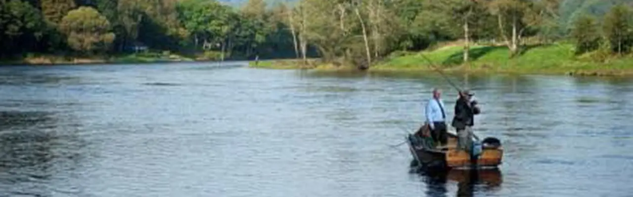 Newtyle Fishings For Sale - One Of The Most Attractive Double Beats On The Middle Tay: Newtyle 808X455