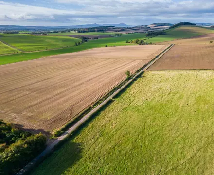 Excellent mixed arable and livestock farm in Fife: Denbrae Farm Land Image 2