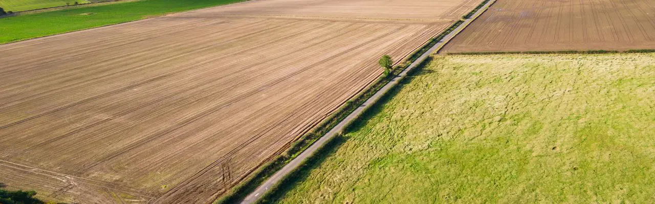 Excellent mixed arable and livestock farm in Fife: Denbrae Farm Land Image 2