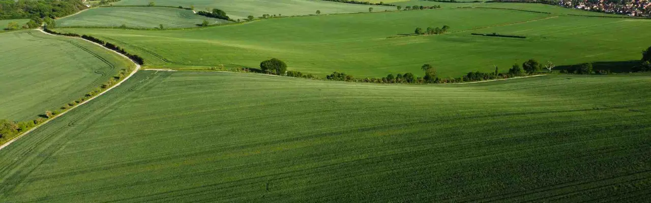  Fife's Farmland Market Remains Buoyant: Farms and Estates Property Banner
