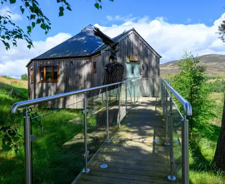 Luxury Holiday Letting Business for Sale: Scots Pine Treehouse At Dalnoid (Large)