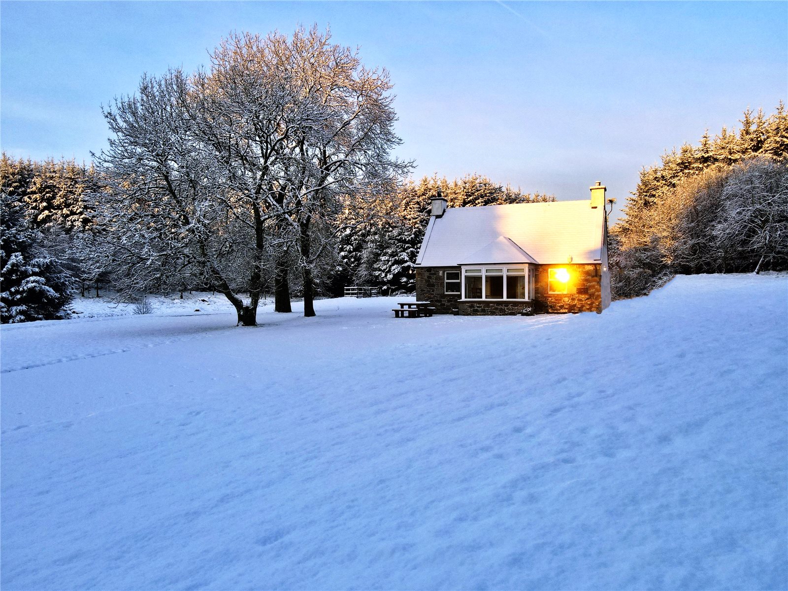 Winter Scene