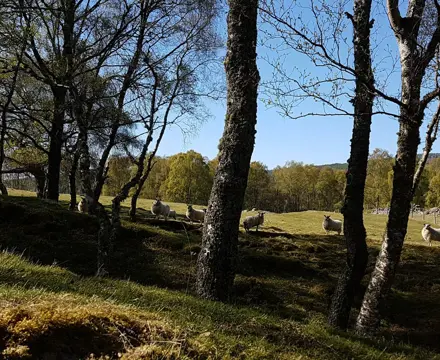 Natural Capital Update: Food production a crucial part of environmental big picture: 20170506 160340 (002)