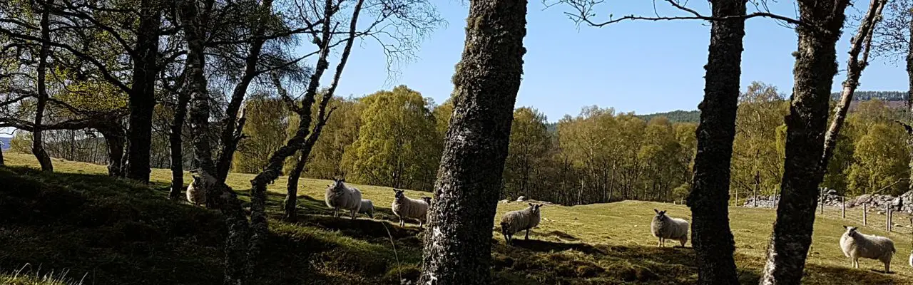 Natural Capital Update: Food production a crucial part of environmental big picture: 20170506 160340 (002)