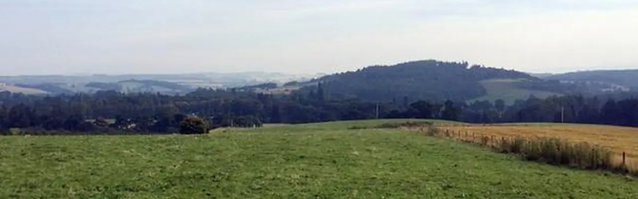 Land Reform - Limbo and Assignation: Land Reform Limbo And Assignation 808X455