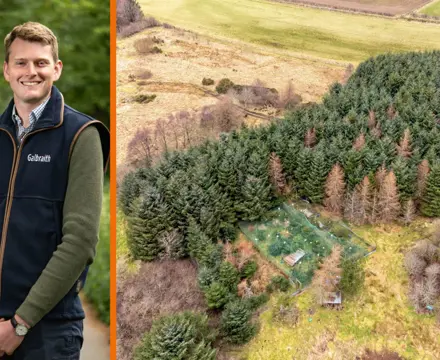Former pheasant shoot for sale in rural Aberdeenshire: Ian Armstrong
