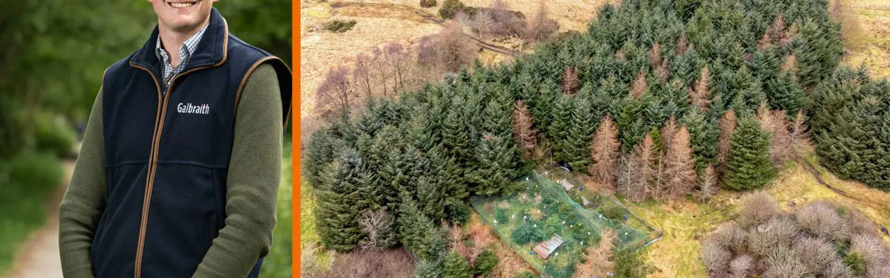 Former pheasant shoot for sale in rural Aberdeenshire: Ian Armstrong
