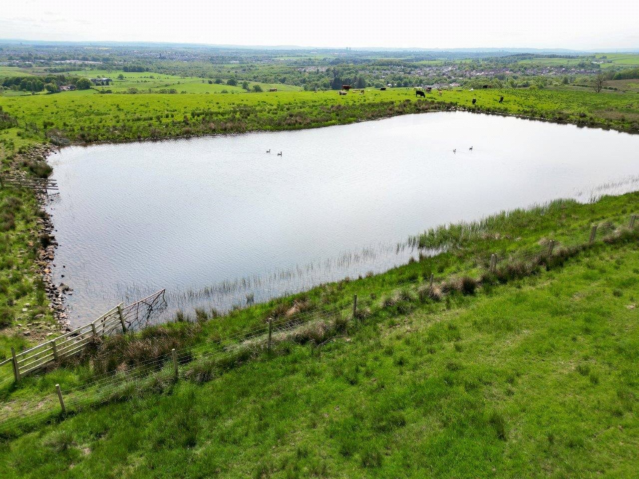 Largest Pond