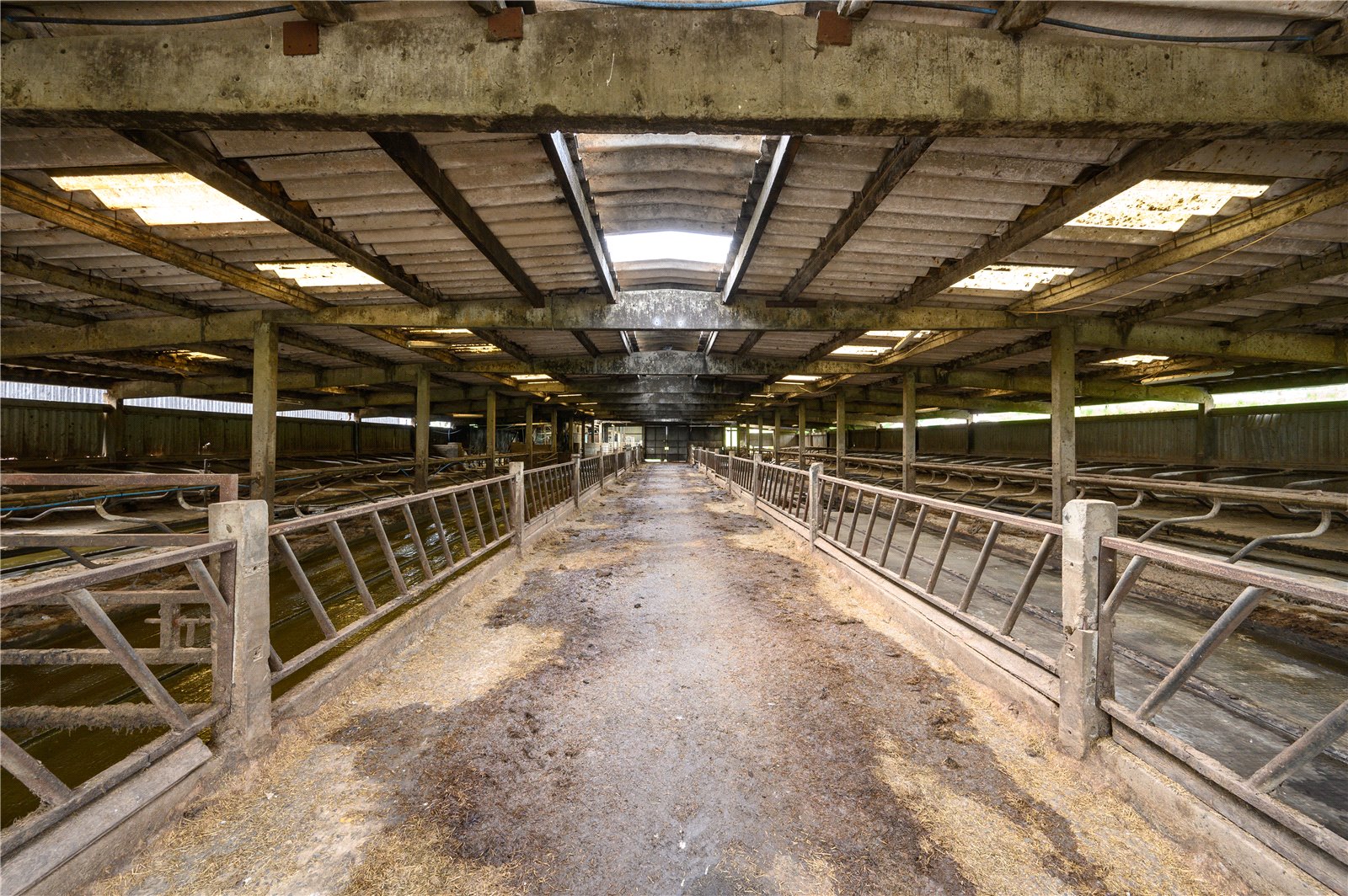 Cubicle Shed