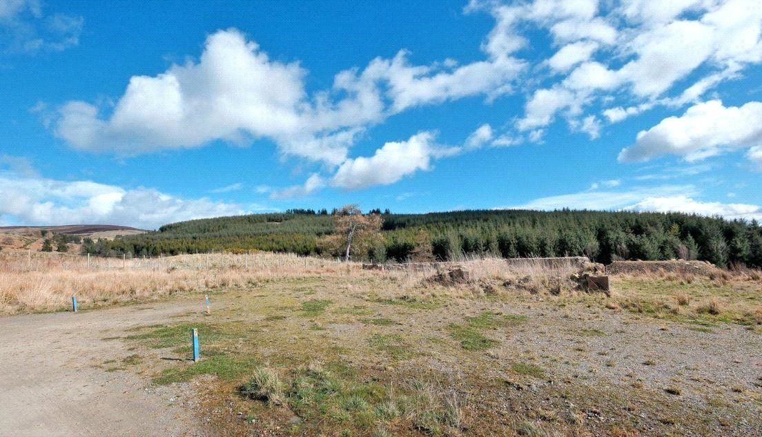 Site Image