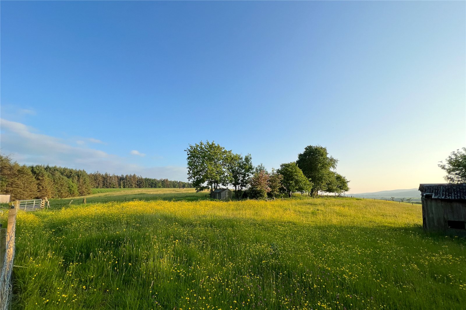 Land