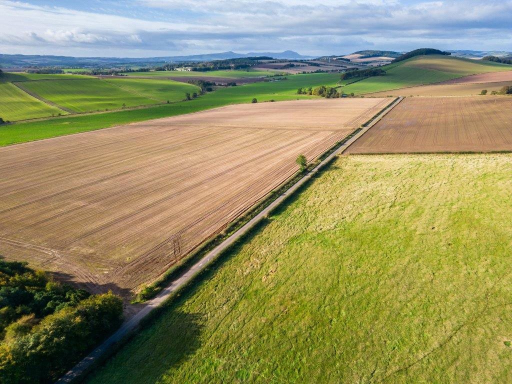 Farmland