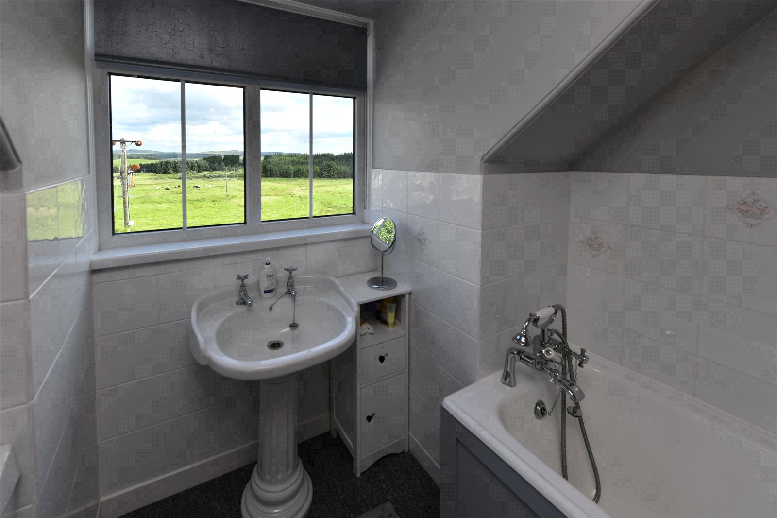 Bathroom View 1st Fl