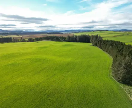 Major landholding for sale in Midlothian: The Land at Black Mount 1