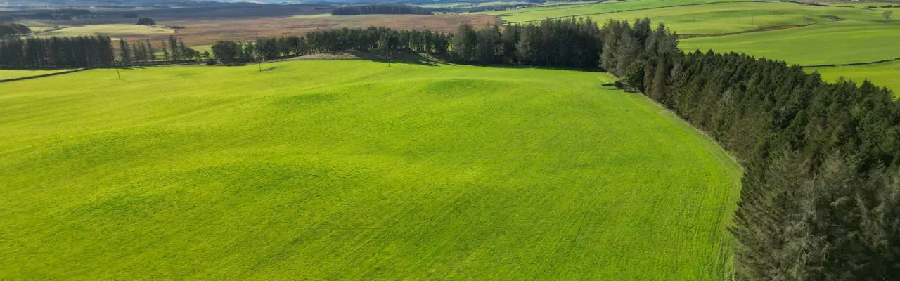 Major landholding for sale in Midlothian: The Land at Black Mount 1