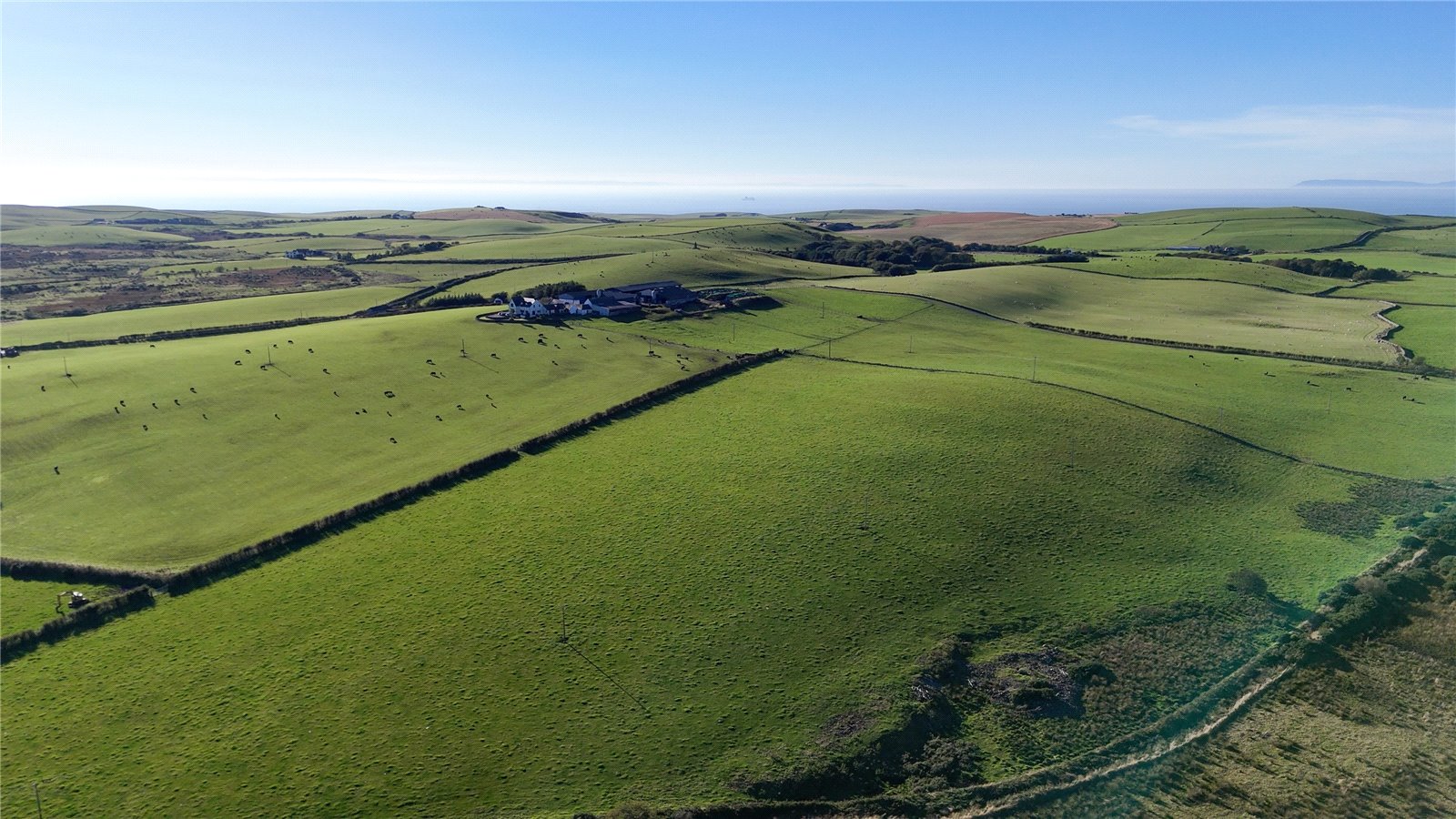 Fields