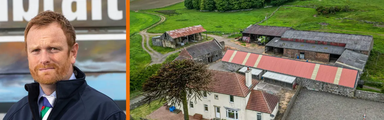 Excellent mixed arable farm in Fife : Duncan Barrie Goatmilk Farm