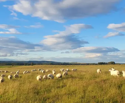 Natural capital update: Regenerative farming is making news amid growing environmental concerns. Is it worth consideration, asks Martin Rennie, or too early to tell?: IMG 20220805 WA0003
