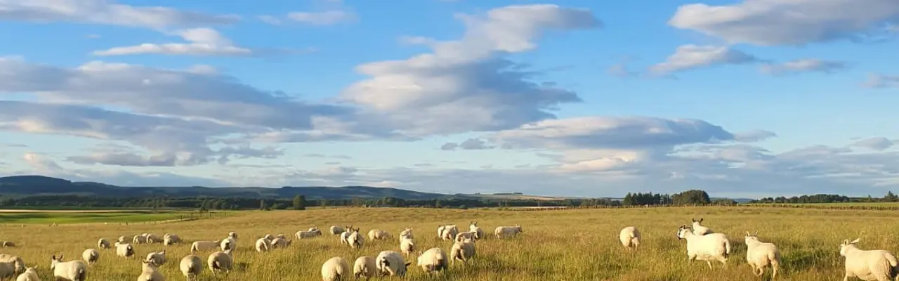 Natural capital update: Regenerative farming is making news amid growing environmental concerns. Is it worth consideration, asks Martin Rennie, or too early to tell?: IMG 20220805 WA0003