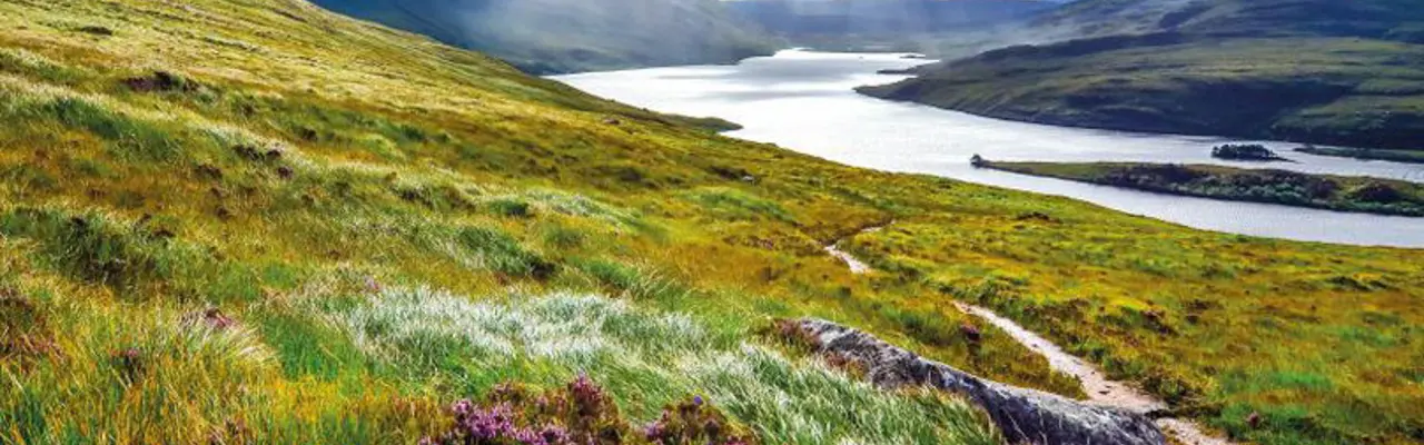 Land Reform - The Right To Buy Land To Further Sustainable Development: Shutterstock 164627531 4 808X455