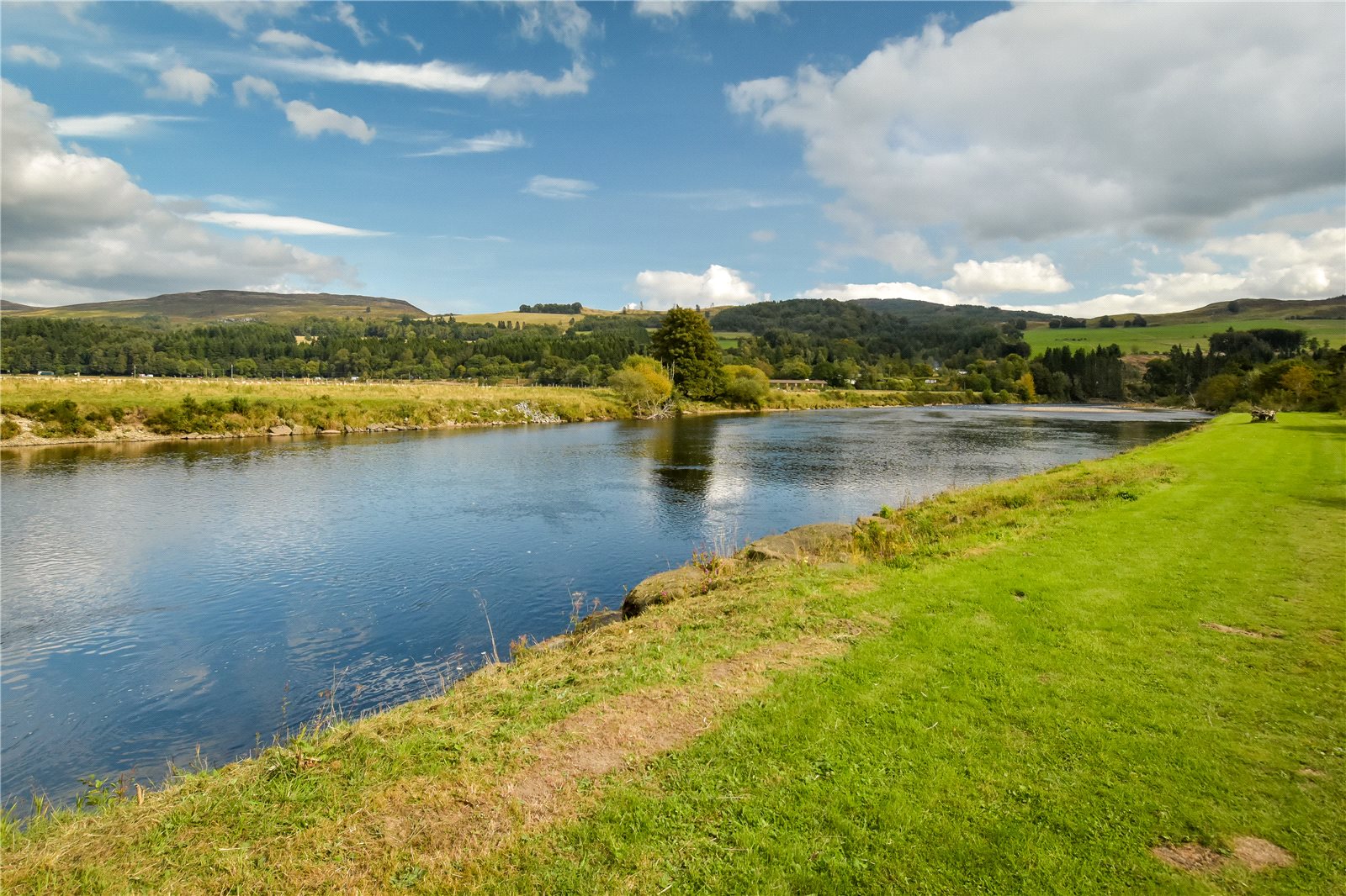 Dalguise Fishings