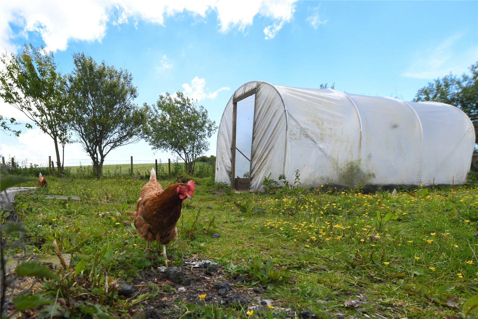Poly Tunnel