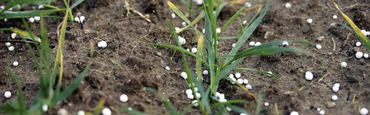Natural capital update: Impact of fertiliser prices encourages regenerative farming: Fertiliser