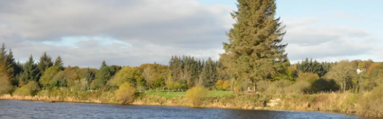 Prime River Dee Salmon Beat For Sale: Galbraith Bull Sales 0 808X455