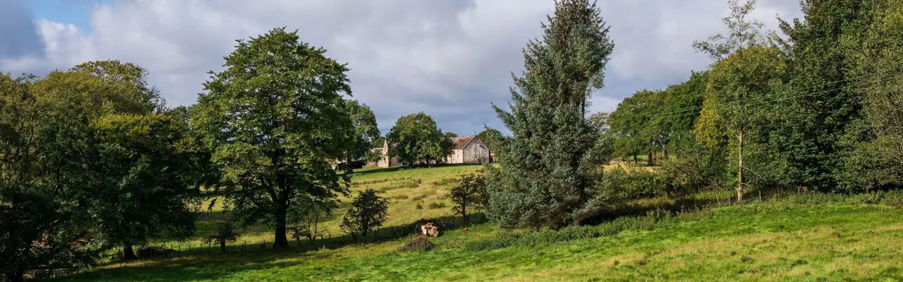 Attractive amenity farm in West Lothian for sale: Gardener's Hall & Grove Mount 4