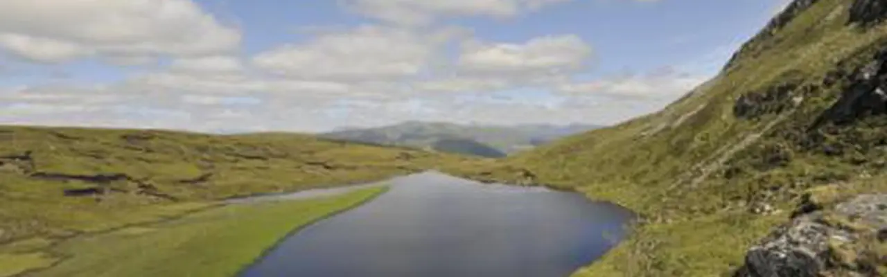 Market For Highland Sporting Estates Remains Strong: Ledgowan Estate 808X455